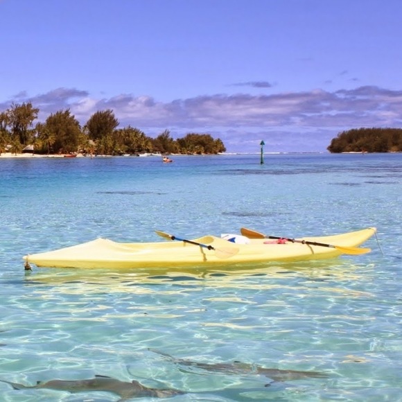 Meet your Posher, Lilyanna - Picture 1 of 1